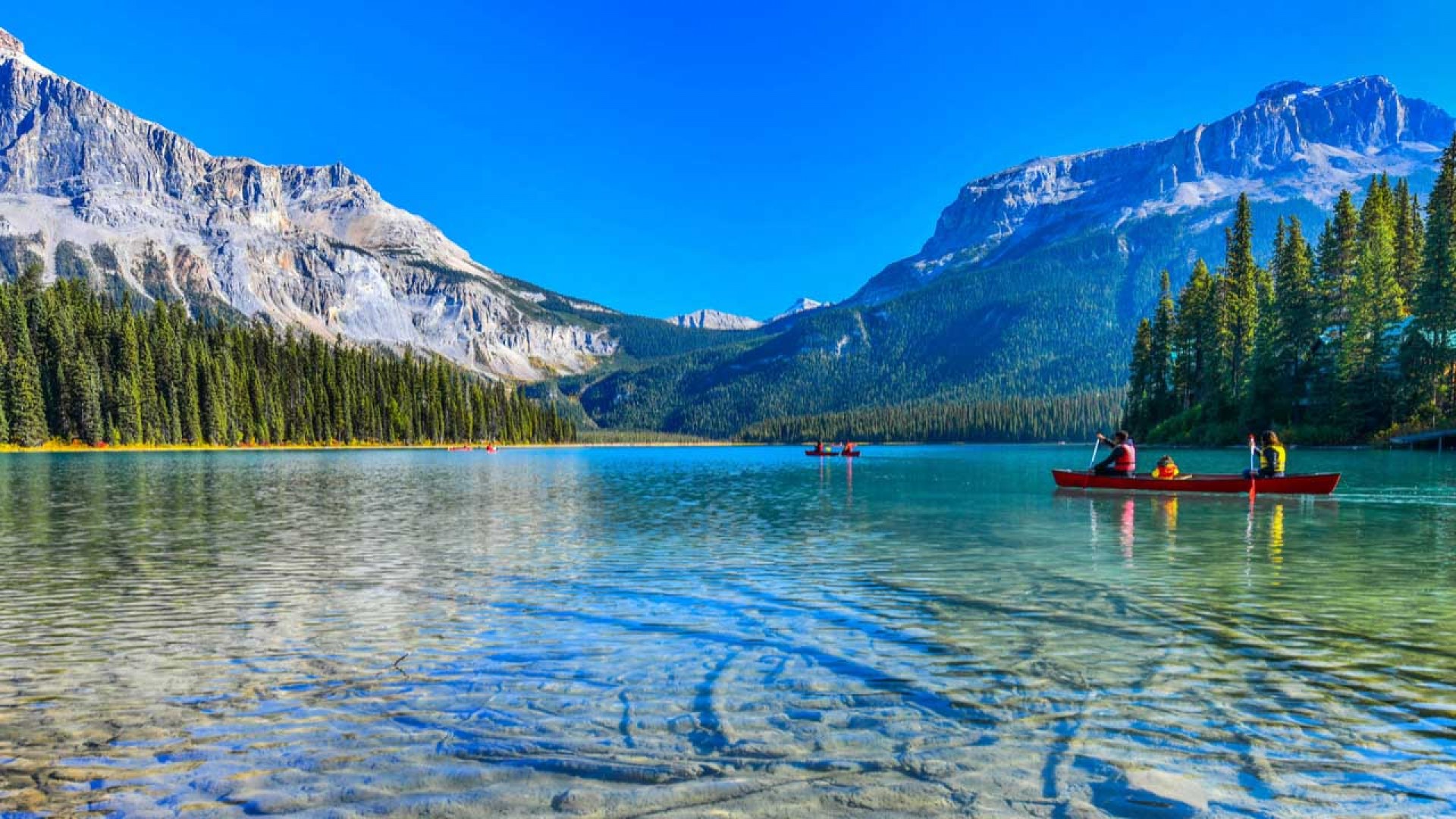 Kinh nghiệm đi du học Canada: Những thách thức nào bạn sẽ gặp khi về nước?