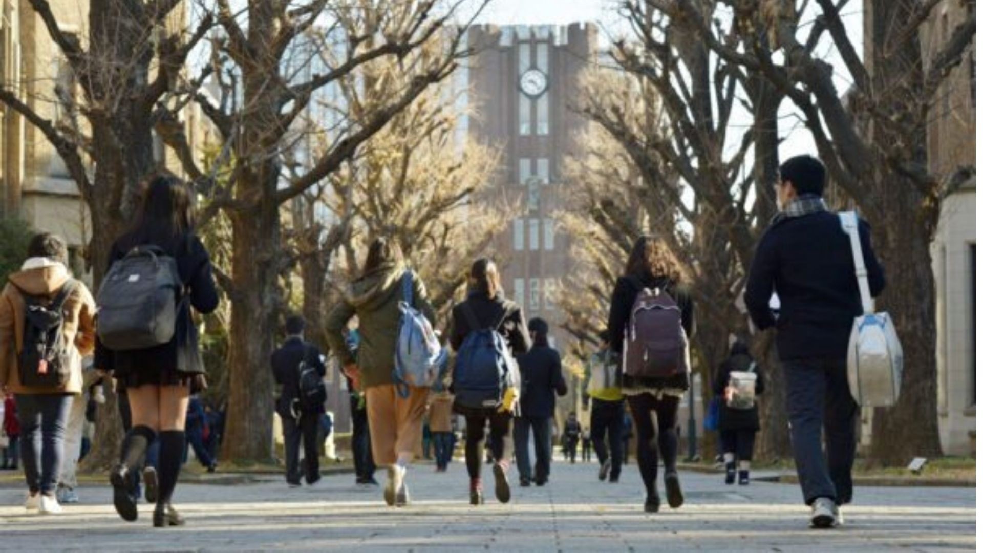 Top 4 trường đại học Nhật Bản dành cho hội con nhà giàu