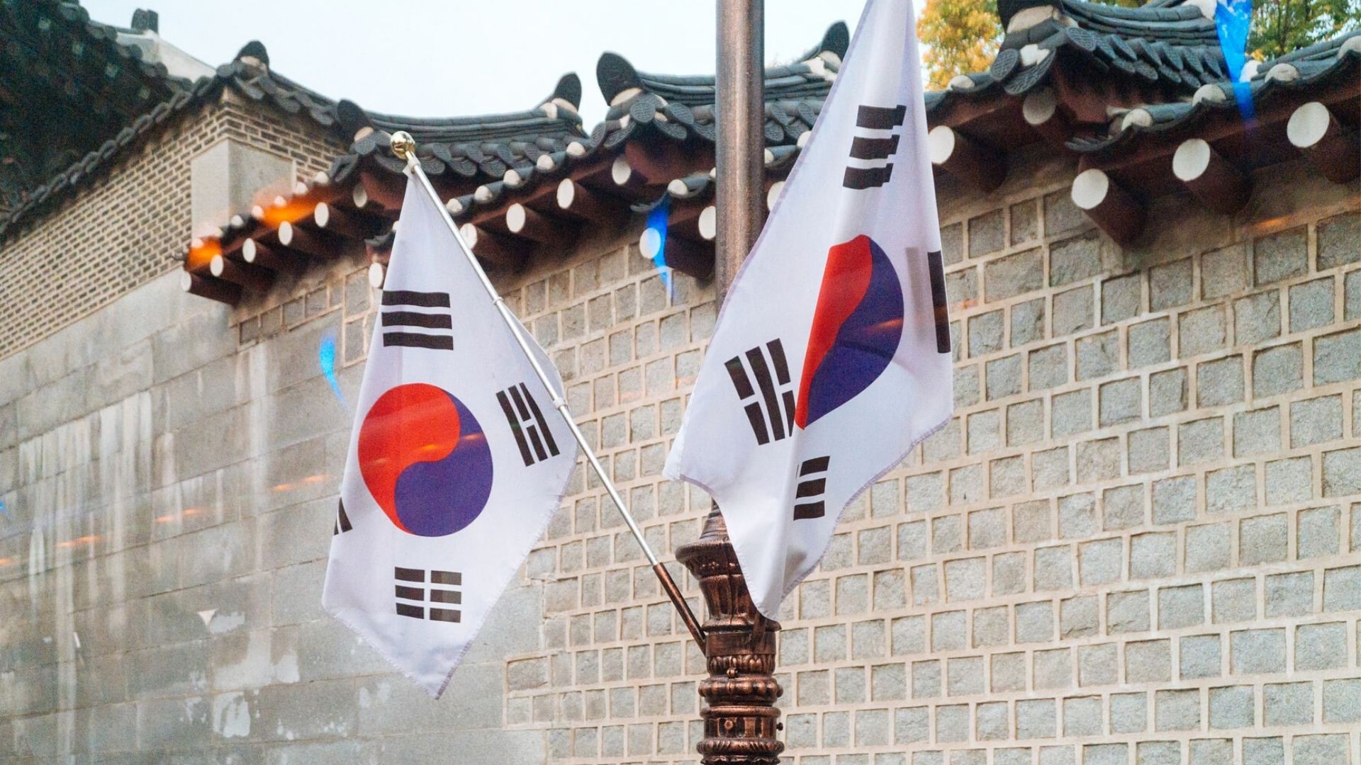 Chọn ngành du học Hàn Quốc: 5 ngành HOT mà bạn nên chọn