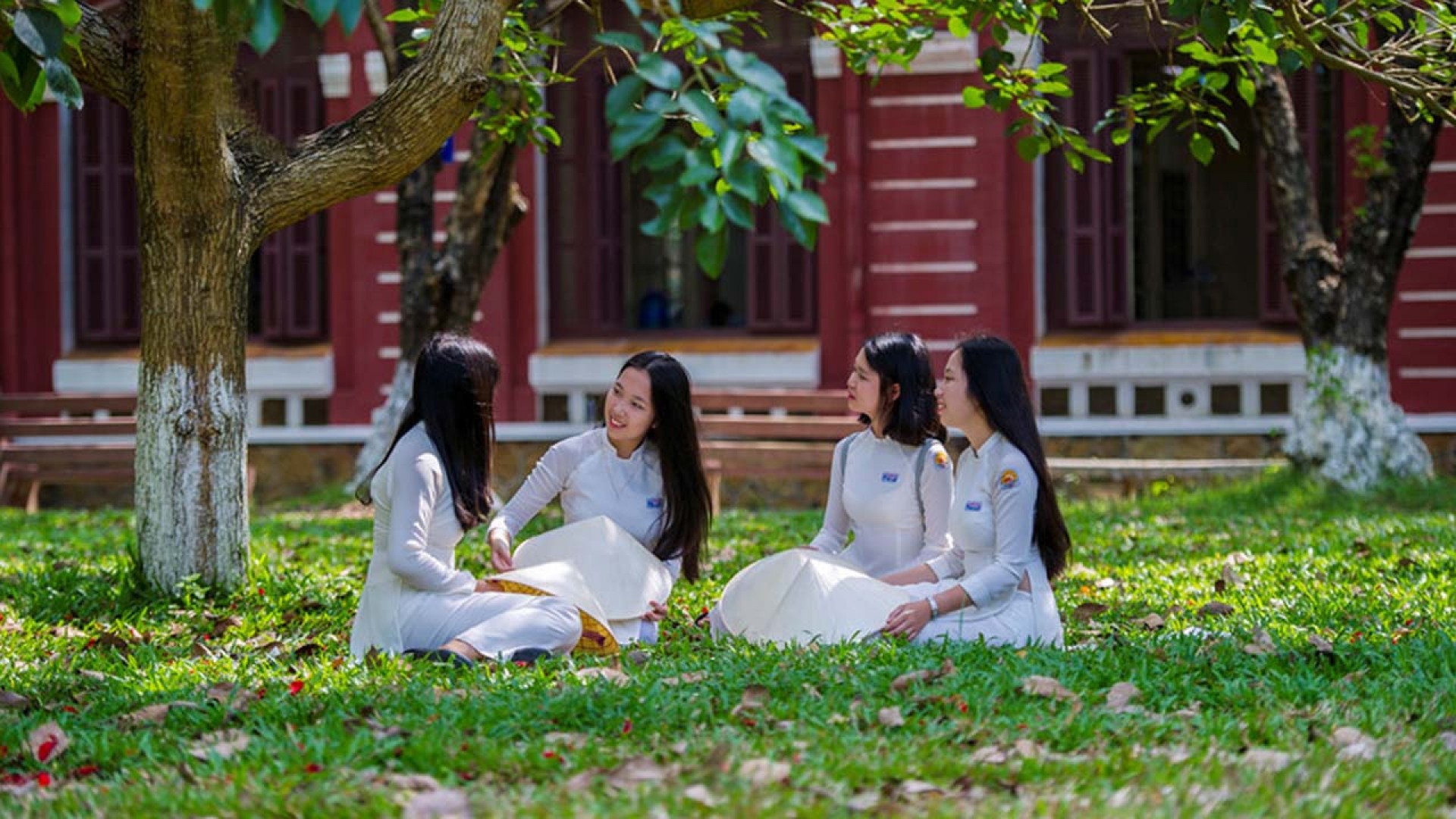 Top 10 trường đại học chất lượng ở Huế: Đào tạo đa lĩnh vực và duy nhất một trường tư thục